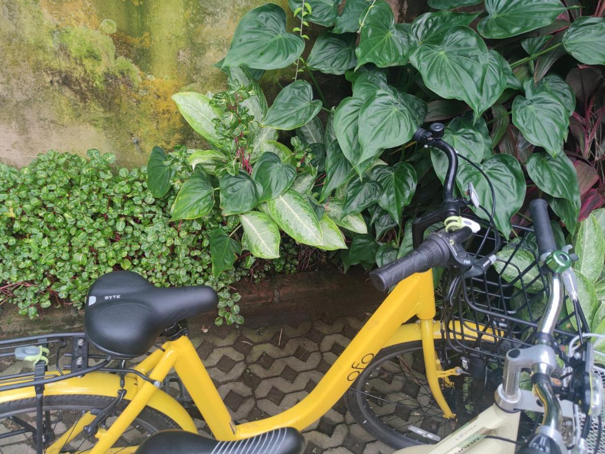 G Saskara Homestay Sanur Exteriör bild